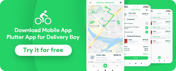Delivery Boy for Groceries, Foods, Pharmacies, Stores Flutter App - 4